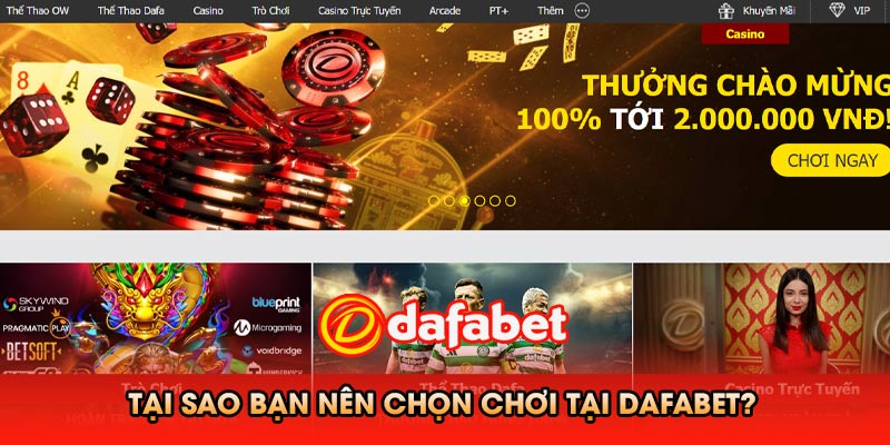Tại Sao Bạn Nên Chọn Cược tại Dafabet?